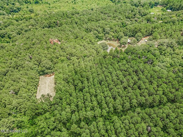 6136 Magnolia Progress Road, Magnolia, MS 39652