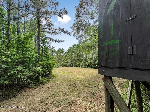 6136 Magnolia Progress Road, Magnolia, MS 39652