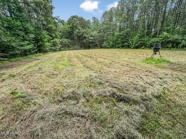 6136 Magnolia Progress Road, Magnolia, MS 39652