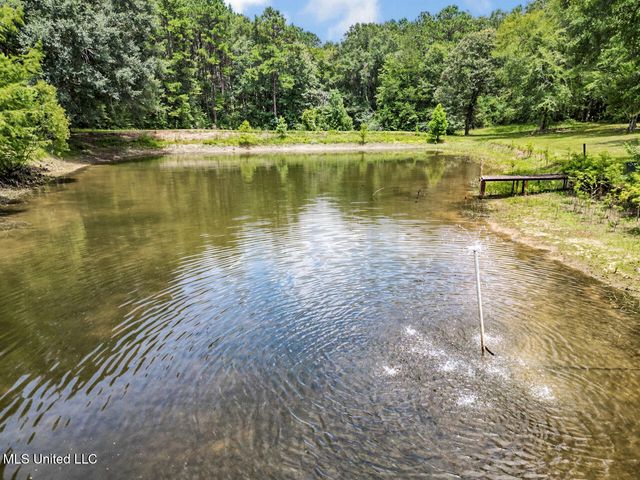 6136 Magnolia Progress Road, Magnolia, MS 39652