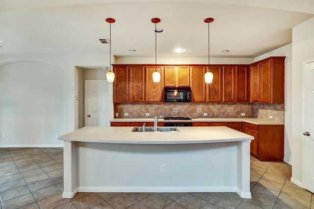 22215 Bridgestone Pine Court, Spring, TX 77388