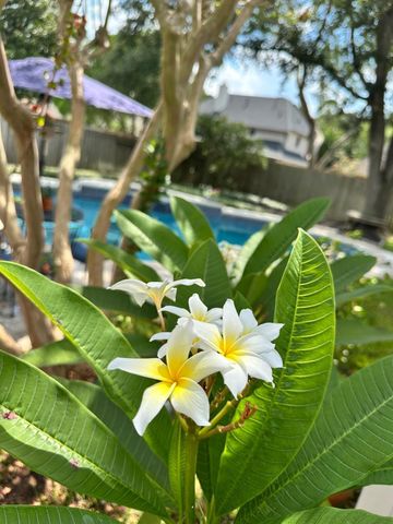 4602 Jamaica Drive, Sugar Land, TX 77479