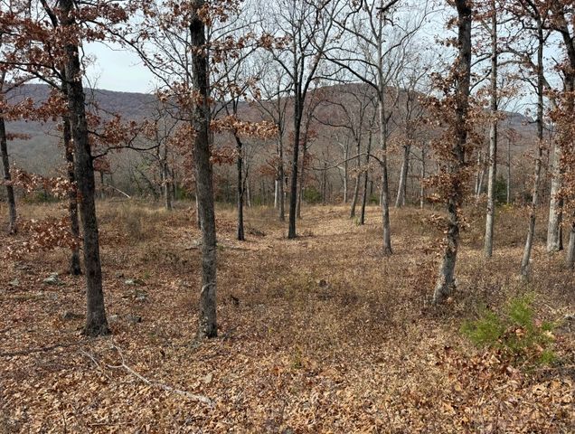 Lot 65 Restore Ridge, Harrison, AR 72601