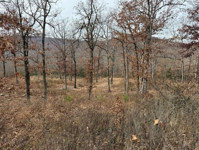 Lot 65 Restore Ridge, Harrison, AR 72601
