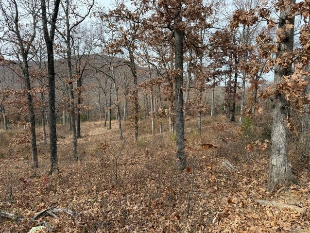 Lot 65 Restore Ridge, Harrison, AR 72601