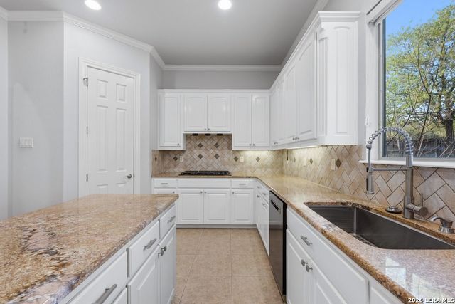 17842 Salado Draw, San Antonio, TX 78258