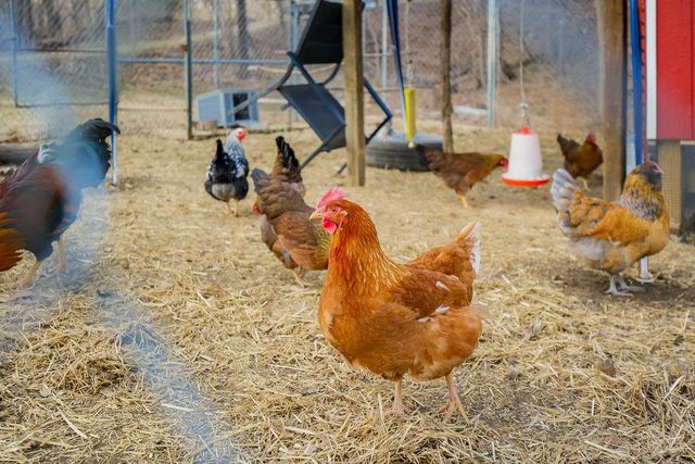 22463 George Road, Tonganoxie, KS 66086