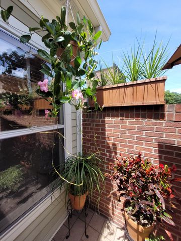 151 Augusta Ave, Pleasant View, TN 37146