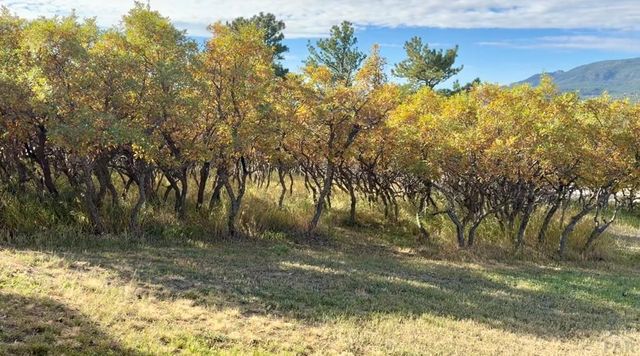 7970 Grand Vista Dr, Rye, CO 81069