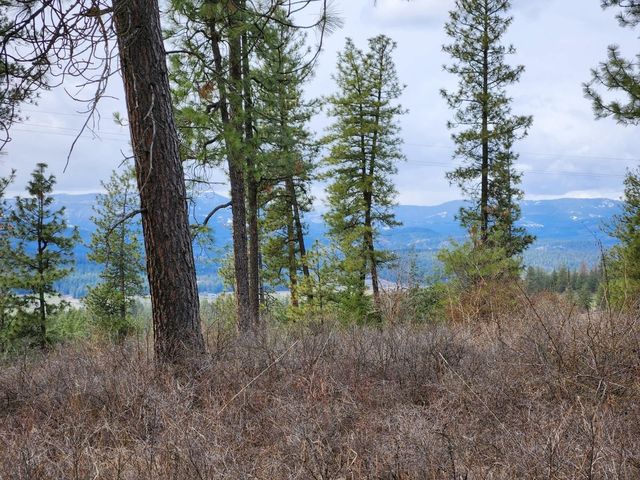 29xx Bakie Rd, Valley, WA 99181