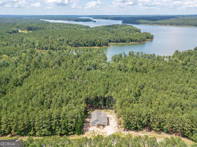 1165 Watersedge Cove, Tignall, GA 30668