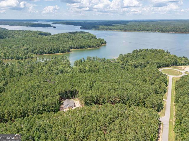 1165 Watersedge Cove, Tignall, GA 30668