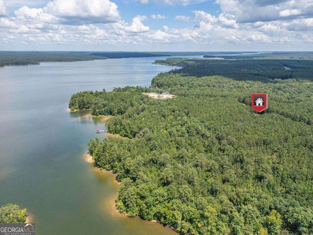 1165 Watersedge Cove, Tignall, GA 30668