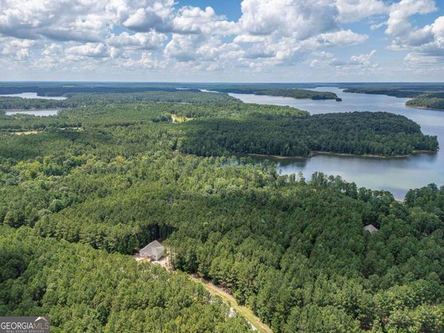 1165 Watersedge Cove, Tignall, GA 30668