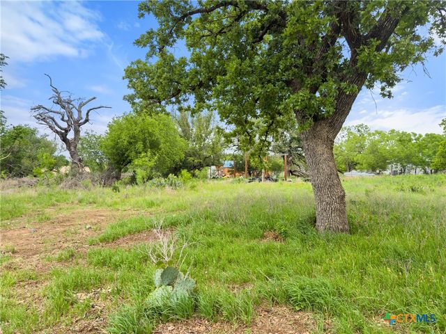 630 County Road 118B, Burnet, TX 78611