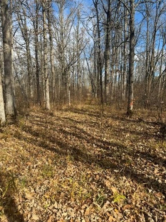 68781 Duxbury Road, Sandstone, MN 55072 — photo 2