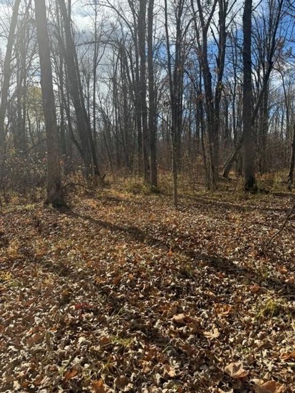 68781 Duxbury Road, Sandstone, MN 55072 — photo 3