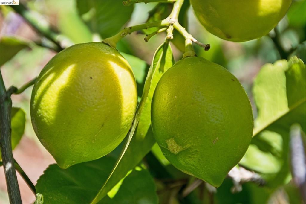 Image 59 of property listing at 801 Keeler Ave, Berkeley, CA 94708