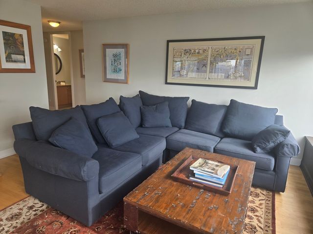 30 E Huron Street 4702, Chicago, IL 60611