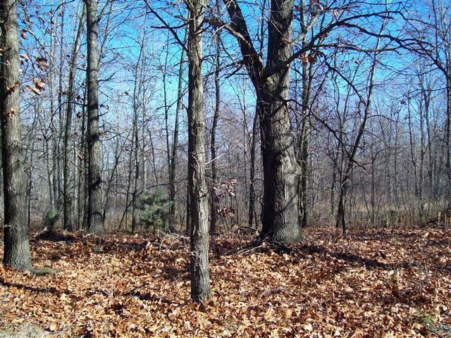 17 W Wilke Road, Grant Twp-oceana Co, MI 49452