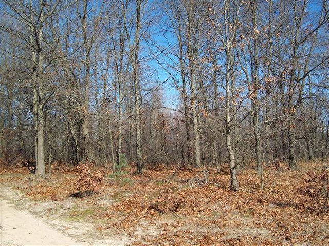 17 W Wilke Road, Grant Twp-oceana Co, MI 49452