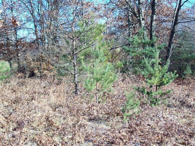 17 W Wilke Road, Grant Twp-oceana Co, MI 49452