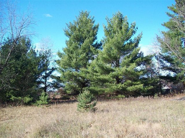 17 W Wilke Road, Grant Twp-oceana Co, MI 49452