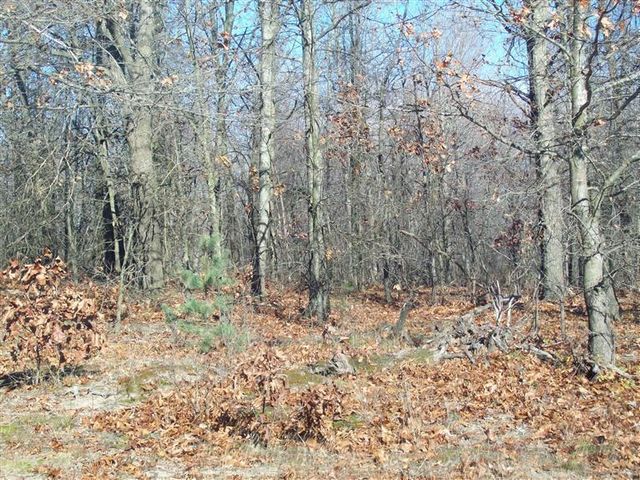 17 W Wilke Road, Grant Twp-oceana Co, MI 49452