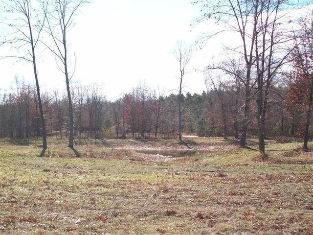 17 W Wilke Road, Grant Twp-oceana Co, MI 49452