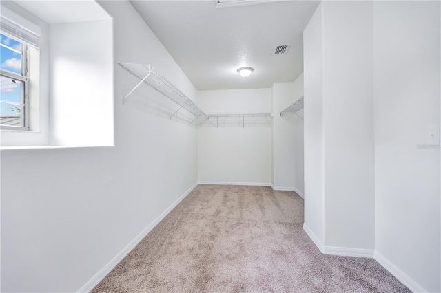 5331 SANDY SHELL DRIVE, Apollo Beach, FL 33572