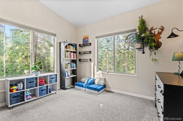 424 W Dory Way, Black Hawk, CO 80422