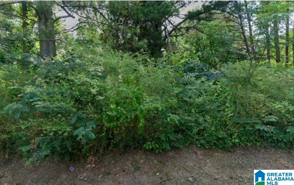 3319 SHORT AVENUE D, Bessemer, AL 35020