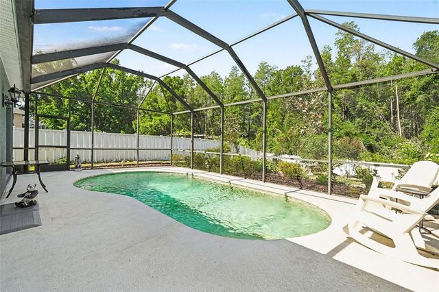 10212 GRANT CREEK DRIVE, Tampa, FL 33647