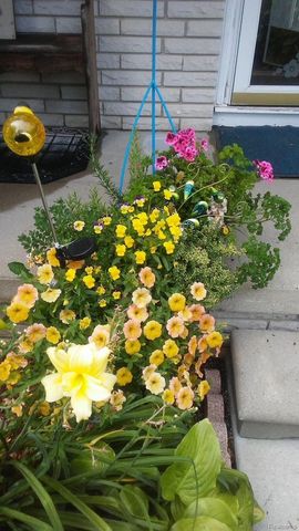 7040 Lou Mac Drive, Clayton Charter Township, MI 48473