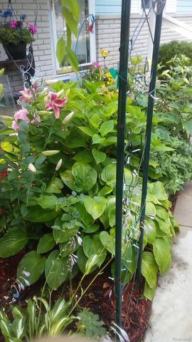 7040 Lou Mac Drive, Clayton Charter Township, MI 48473