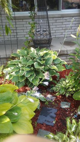 7040 Lou Mac Drive, Clayton Charter Township, MI 48473