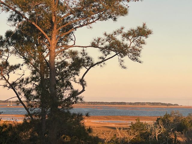 2080 Amenity Park Drive, Mount Pleasant, SC 29466