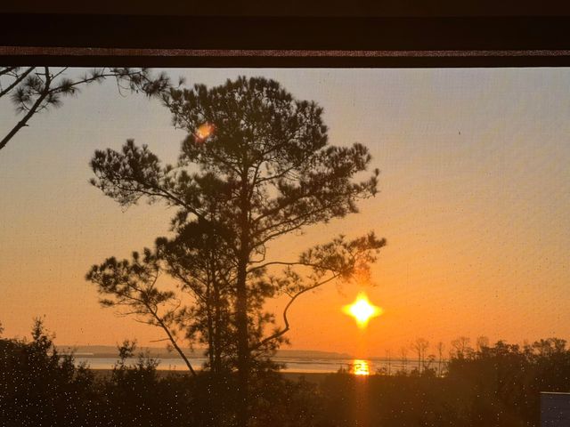 2080 Amenity Park Drive, Mount Pleasant, SC 29466