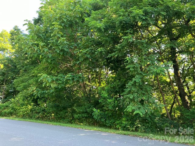 0 Grey Rock Parkway 271, Lake Lure, NC 28746