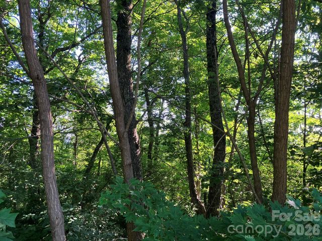 0 Grey Rock Parkway 271, Lake Lure, NC 28746