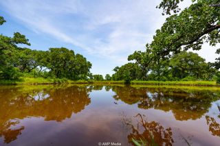 TBD Old Gertrude Road, Jermyn, TX 76459