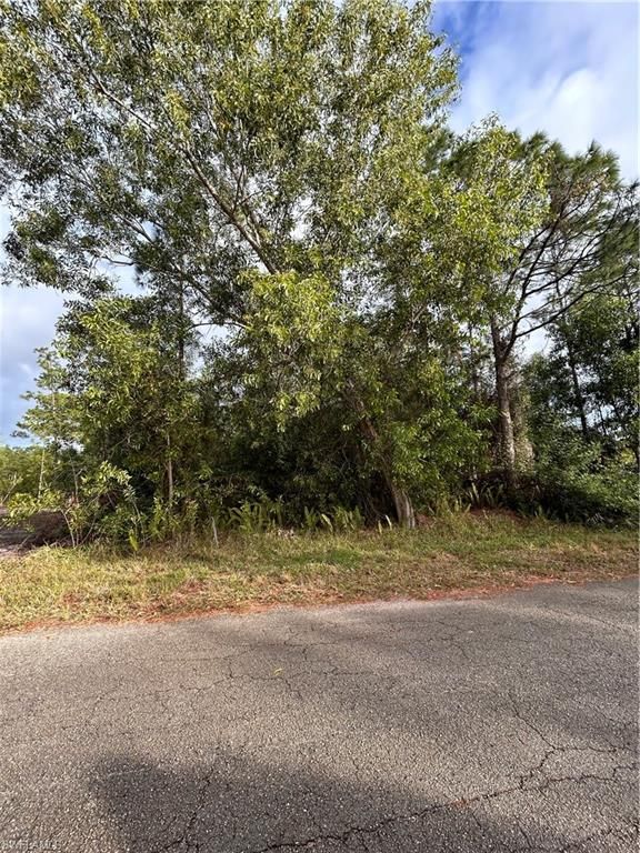 3703 E 3rd ST, LEHIGH ACRES, FL 33936 — photo 2