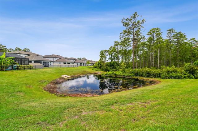 4215 TATUM LOOP, Odessa, FL 33556