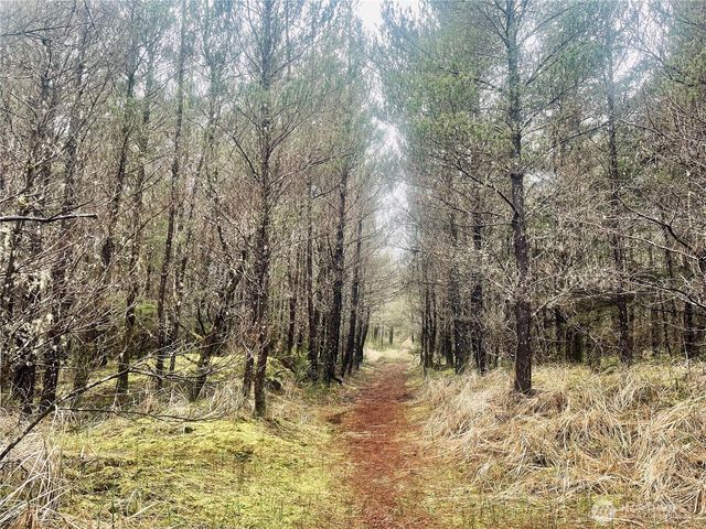 1106 46th Place, Seaview, WA 98644