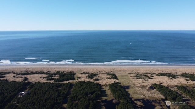 1106 46th Place, Seaview, WA 98644