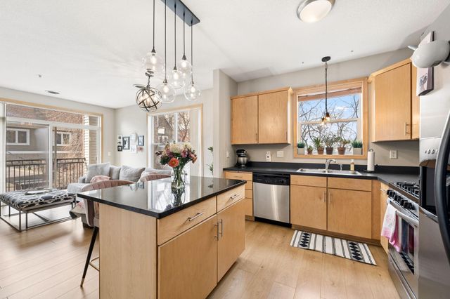 301 Oak Grove Street 314, Minneapolis, MN 55403