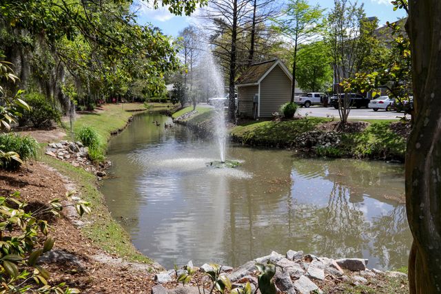 188 Midland Parkway Apt 513, Summerville, SC 29485