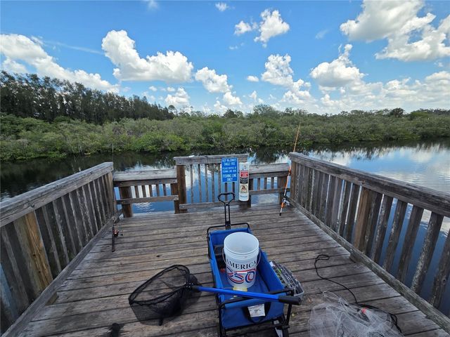 4616 IRENE LOOP, New Port Richey, FL 34652