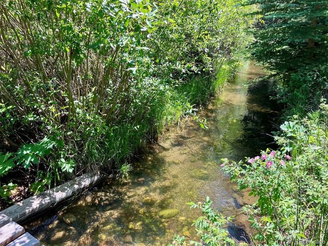 192 Johnson Road, Silverthorne, CO 80498