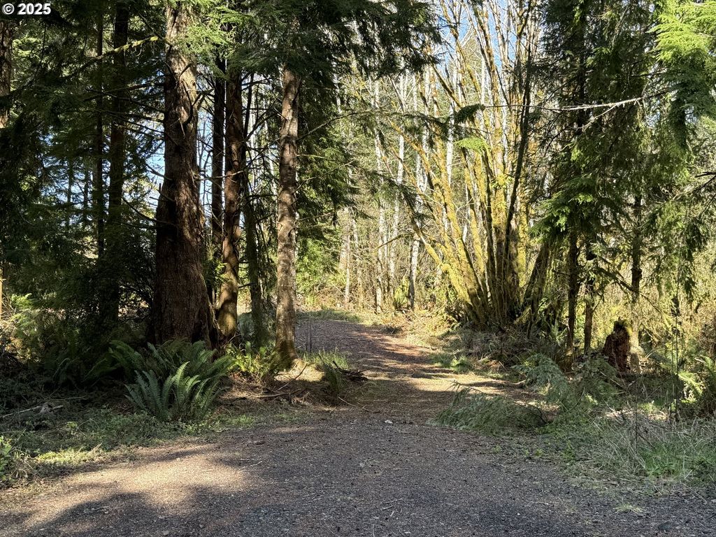 Fiddle Back Lot 8, North Bend, OR 97459